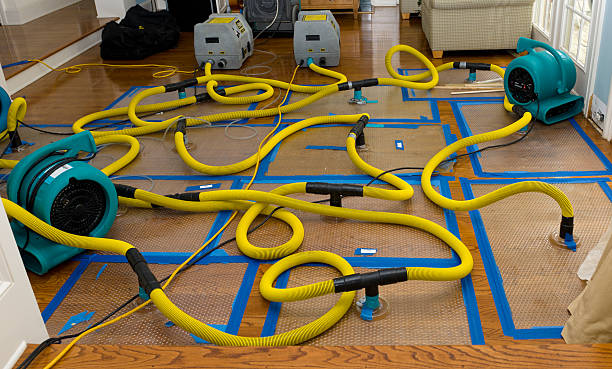 Professional Water Extraction technician working in Dundee, NY